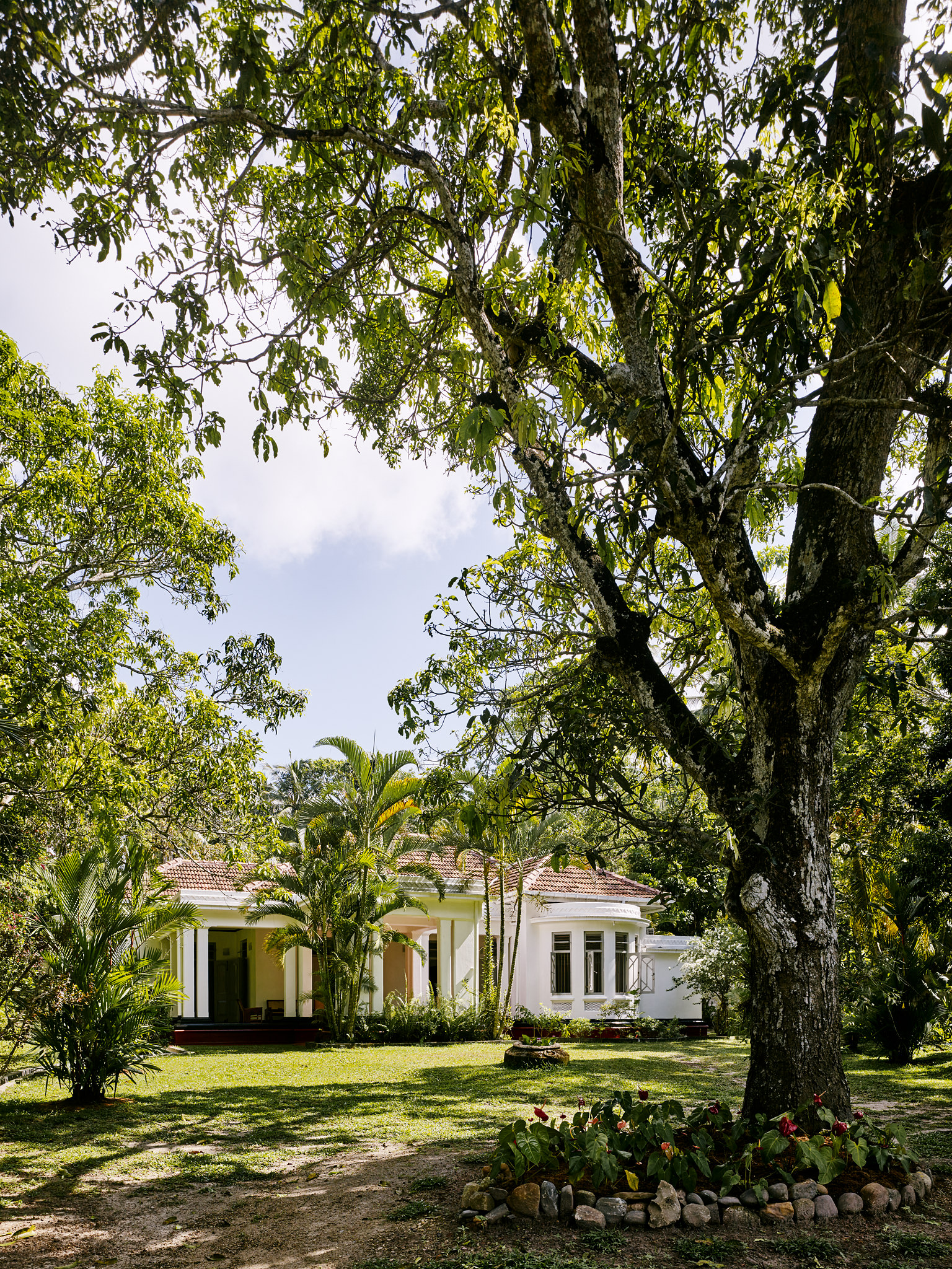 E15550 Alpa 050025 SCREEN